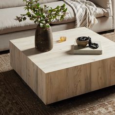 a living room with a couch, coffee table and vase on the floor in front of it