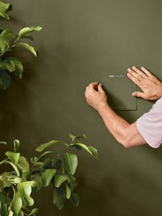 a man writing on a green wall next to a potted plant