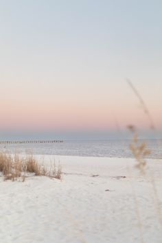 the beach is covered in white sand and sea oats at sunset, with an empty pier in the distance