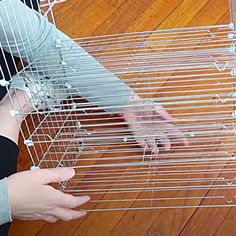 a person is holding the door open to a bird in a cage on the floor