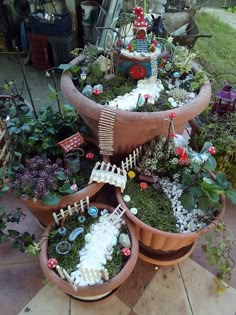 there are many potted plants that have been placed in the yard for display and to be displayed