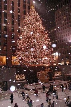 a large christmas tree in the middle of a city