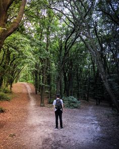 a man walking down a dirt road in the woods