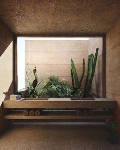 an indoor planter with succulent plants in it