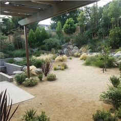 an outdoor garden with rocks and plants