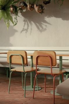 three wooden chairs sitting next to each other in front of a wall with potted plants