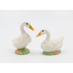 two white ducks standing next to each other