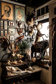 an assortment of taxidermy mounted on the wall in a room with pictures and deer heads