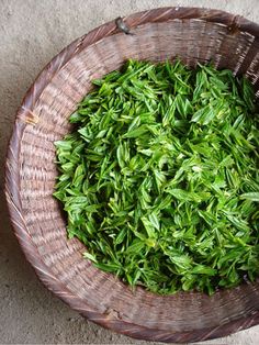 a basket filled with green leaves on top of a floor