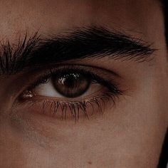 a man's brown eyes with long black hair