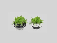 two black and white planters with green plants in them on a gray background,