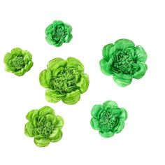 four green flowers on a white background