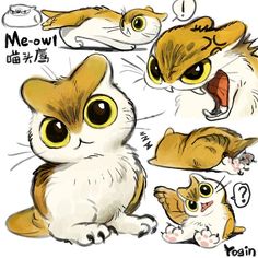 an image of cats with different expressions on it's face and body, including one cat