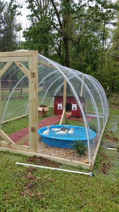 a chicken coop with a small pool inside