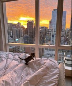 a cat sitting on top of a bed in front of a window overlooking a city