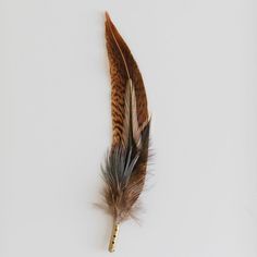 a feather is laying on top of a white surface