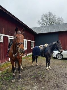 two horses standing next to each other in front of a barn