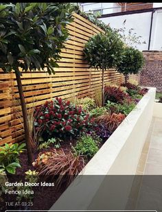 an outdoor garden with wooden fence and plants on the side of the wall, surrounded by landscaping