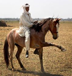 a man riding on the back of a brown horse in a field with dry grass