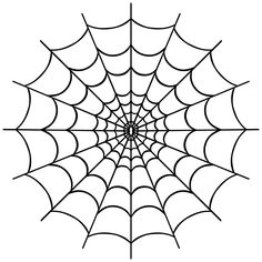 a spider web on a white background