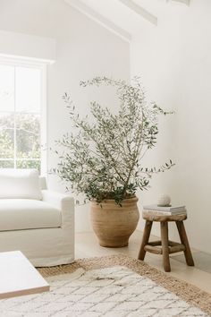 a living room with a couch, table and potted plant