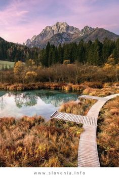 a wooden walkway leading to a small lake in the middle of a field with mountains in the background