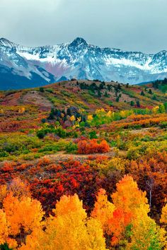 the mountains are covered in snow and colorful trees