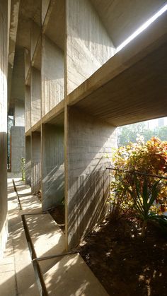 an empty concrete building with stairs leading up to the second floor and plants on the other side