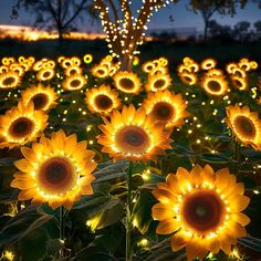 the sunflowers are lit up with fairy lights and string lights in the field