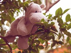 a stuffed animal sitting on top of a leafy tree branch with white flowers in the foreground