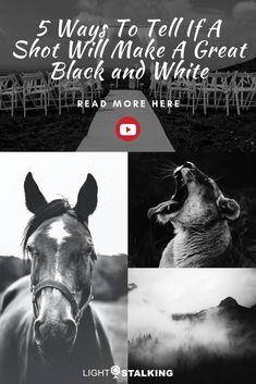 a black and white photo with the words 5 ways to tell if a shot will make a great black and white