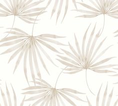 a white wallpaper with palm leaves on it