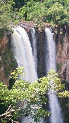 a large waterfall in the middle of a forest