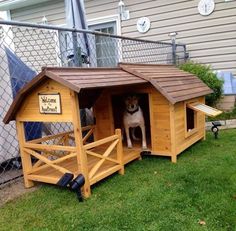 a dog is standing in his kennel on the grass