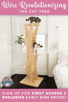 a cat tree with two cats on it and the words we're revolutionizing the cat tree