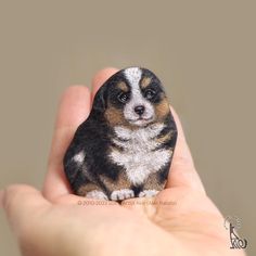 a tiny dog is sitting on someone's hand