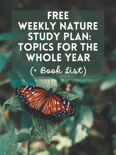 a butterfly with the words free weekly nature study plan topics for the whole year book list