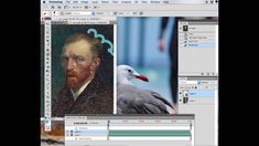 an image of a man with a bird on his shoulder and another photo of a seagull