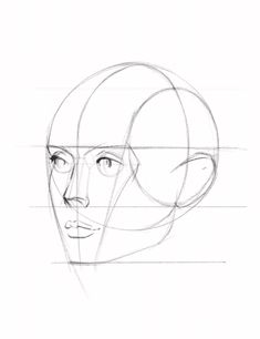 a drawing of a woman's head with lines on it