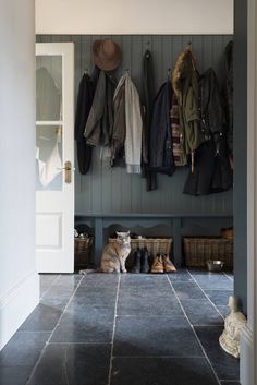 a cat sitting on the floor in front of a coat rack with coats hanging up