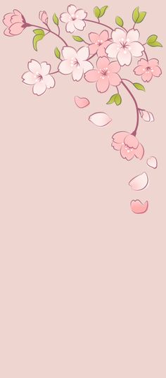 a pink background with white flowers and green leaves