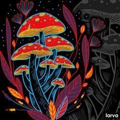 an image of colorful mushrooms in the night sky