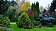 the garden is full of colorful trees and shrubs