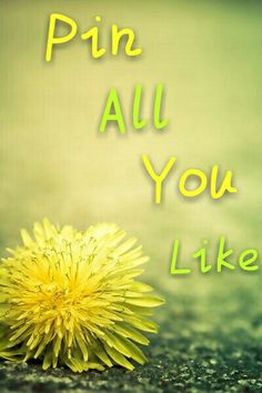 a yellow dandelion sitting on top of a road next to the words pin all you like