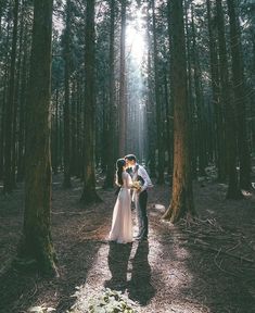 a bride and groom standing in the middle of a forest holding each other's hands