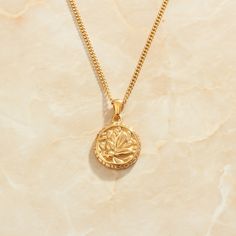 *New In  Details:   Rope Chain length 48cm   Medallion Coin 2.7cm Diameter   18k Gold Plated    FREE Insured Shipping (Worldwide) Necklace Gold Simple, Flora Necklace, Simple Pendant, Gold Necklace Simple, Timeless Jewelry, Silver Pieces, Rope Chain, Necklace Gold, Chain Lengths