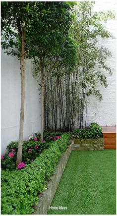 an outdoor garden with grass, flowers and trees