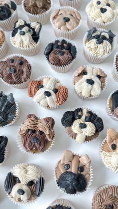 cupcakes with icing in the shape of dogs