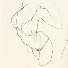 a pencil drawing of a woman's torso