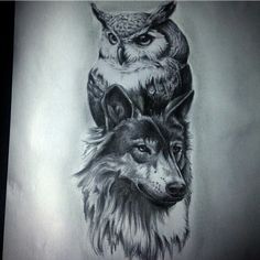 an owl sitting on top of a wolf's head